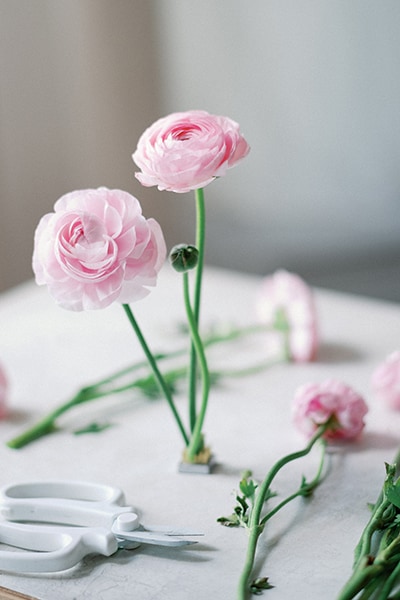Flower Shop 45